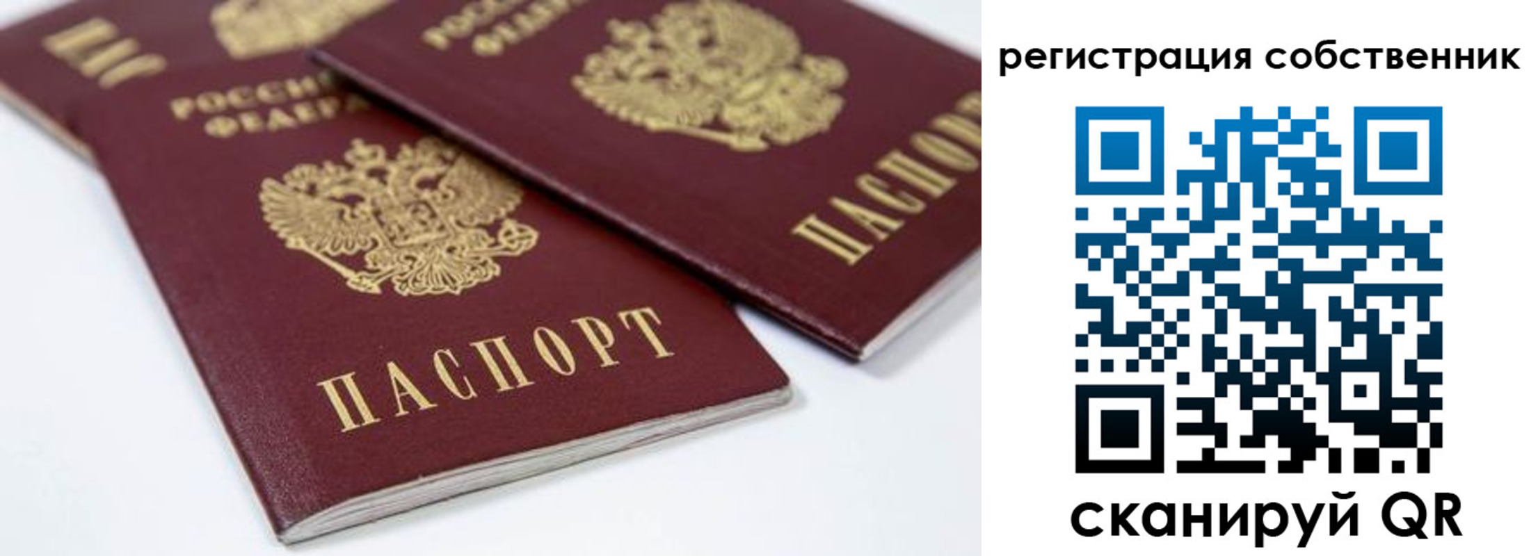 прописка для школы в Электрогорске